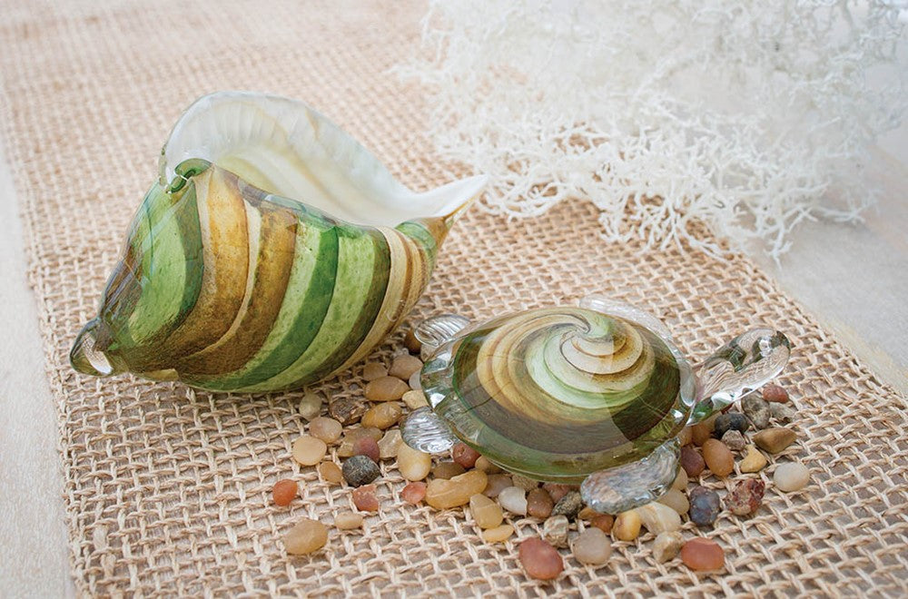 Seashell - Opal Brown